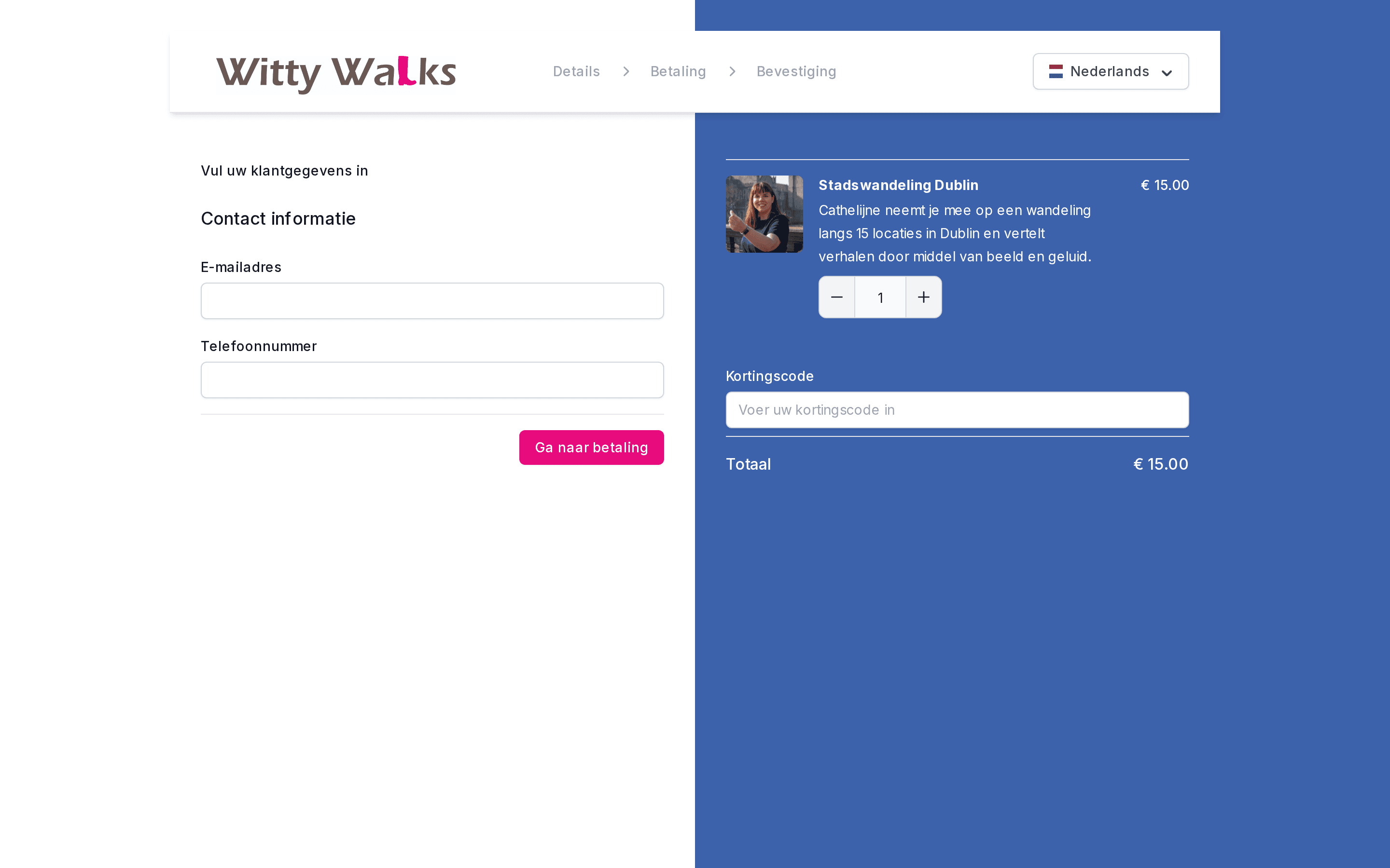 Witty Walks checkout for the Stadswandeling Dublin tour with a discount code field